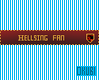 Hellsing Fan