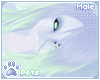 [Pets] Luma | hair v6