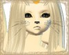 Meowth (F)