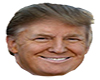 Trump Rain