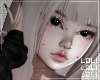 お. phaedra veil
