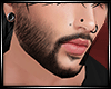 LS~ BEARD v3