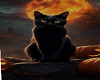 (BG) CUDRO GATO NEGRO