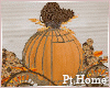 Fall Pumpkin Decor