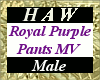 Royal Purple Pants MV