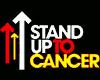~PC~CANCER TEE FEMALE