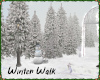 :A: Winter Walk