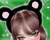 Cute Fur Bear