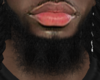 Asteri Beard #020