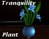 Tranquility Plant