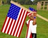 USA Wm Fan Flag