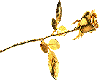 animated gold rose