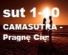 CAMASUTRA - Pragne Cie