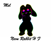 Neon Rabbit M F