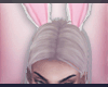 Bunny Ears Easter 2017