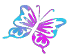 butterfly pink and blue