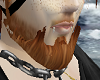 real ginger Killer beard