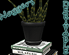 Books & Cactus Black