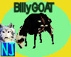 ~NJ~Billy Goat.
