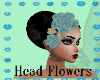 head flowers