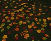 -IC- Autumn Leaves