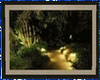 Framed Night Garden Pic