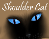 Siamese Shoulder Cat