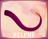 belphe ∾ tail 3