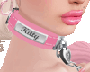 Kitty's Pink Collar