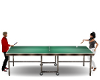 PING PONG TABLE GAME