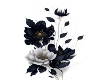 rose black