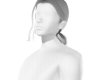 silver blackish Ponytail