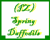 (IZ) Spring Daffodils