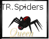 !Q Halloween Tr. Spiders