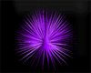 (C) Purple SpikeLight