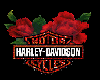 Harley Rose Motorcycle