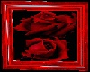 Red Black Rose Picture