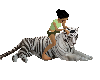 ! petting tiger white !