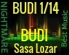 BUDI - Sasa Lozar