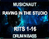 Raving In The Studio