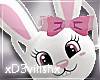 ✘Inspire Bunny