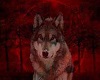 Red wolf  Dungeon
