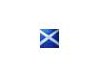 bling badge scotland