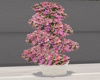 J|Pink Flower Topiary