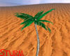 Coconut Palm LG