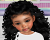 Curly High Pony