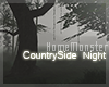 CountrySide at Night