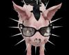 My Pig Rock