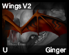 Ginger Wings V2