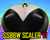 SSBBW Scaler V1